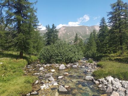 Photo de mtmc le long du parcours