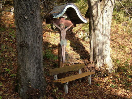 Térkép