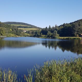 Lac du Ronzey -Yzeron