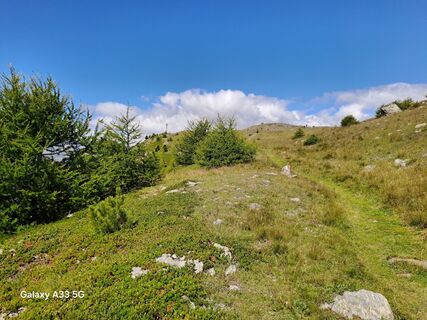 Fotografija s spletne strani Elisabeth Thaler na poti