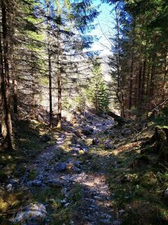 Photo de ChasquiRunner le long du parcours