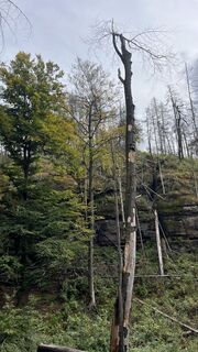 Photo de Ma Wa le long du parcours