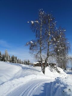 Foto de Dagmar Hofer a lo largo del recorrido