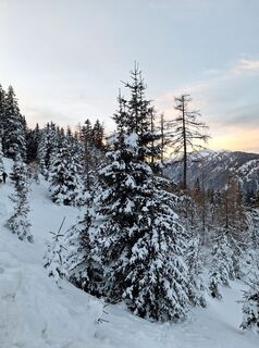 Fotografia z Dagmar Hofer na trase