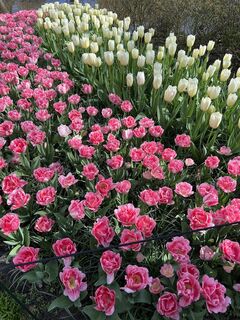 Fotografie de la Silvia Hollenstein de-a lungul turului