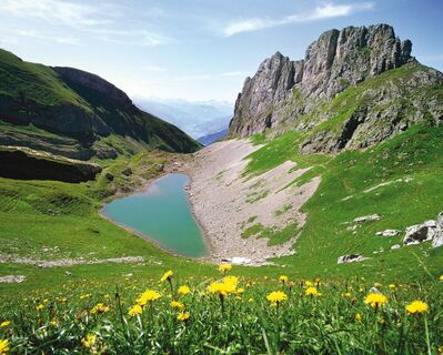 Grubasee