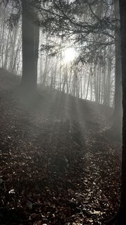 Photo de Sehcup le long du parcours