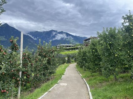 Foto von Andre Loeser entlang der Tour