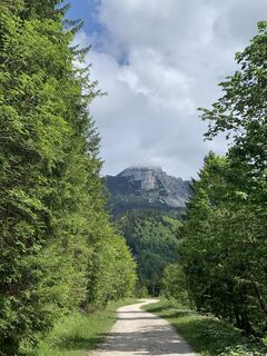 Foto von Michael Kogler entlang der Tour