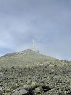 Foto von Jako Koel entlang der Tour