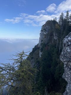 Photo de sophie le long du parcours