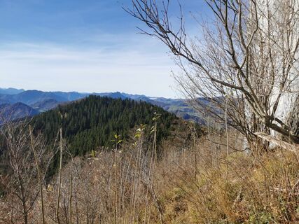 Zdjęcie z P Kowatschek wzdłuż trasy