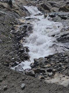 Foto de Gudrun Lippert a lo largo del recorrido