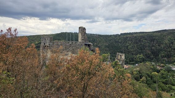 Foto de Brueckl Harald a lo largo del recorrido