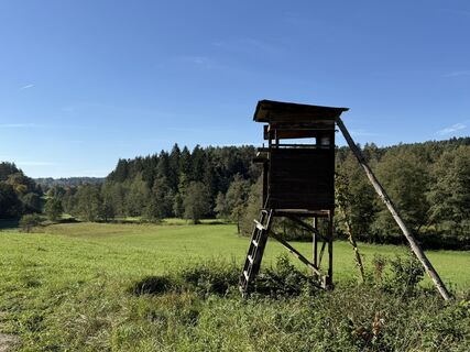 Foto de Norbert Herbig a lo largo del recorrido