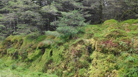 Foto de Ub a lo largo del recorrido