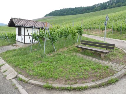 Rastmöglichkeit im Weinberg "Röschen"
