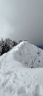 Photo de veronika bozic le long du parcours