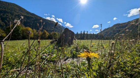 Fotografija s spletne strani Klaus Lehner na poti
