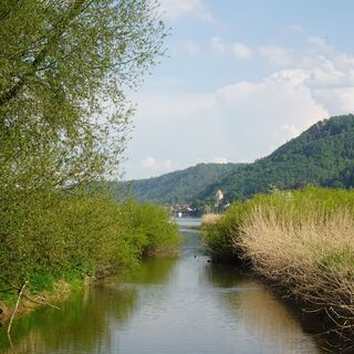 Zemljevid