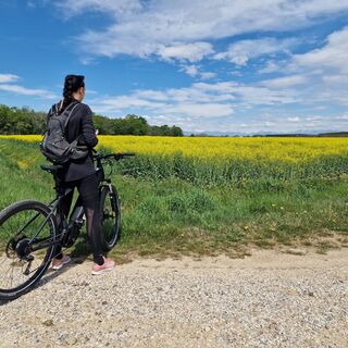Carlino - Landschaft entlang der Route