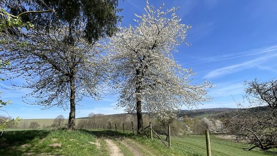 Foto von Patrik Trosdorff entlang der Tour