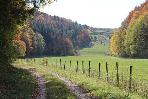 Wasserburgertalweg