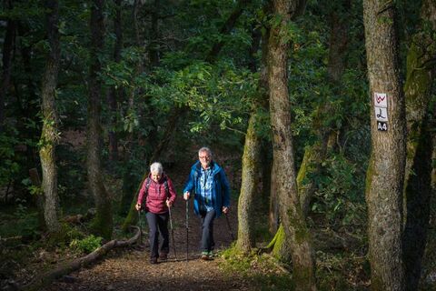 Wandern auf den Entenberg
