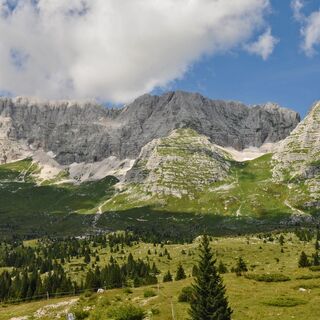 Altipiano del Montasio