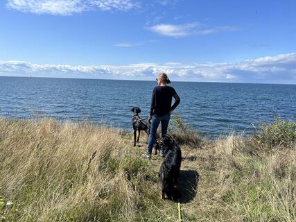 Foto von Lucas B entlang der Tour