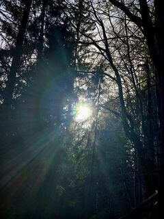 Photo from se_muck along the tour