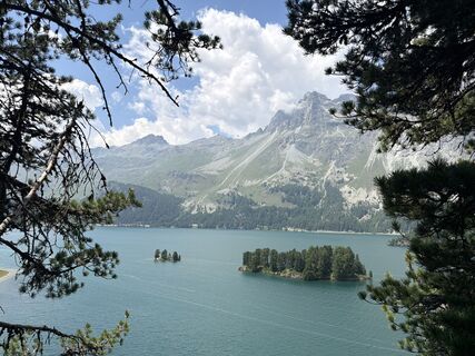 Photo de Maria Kammermann le long du parcours