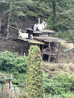 Photo de Helmut Schellmann le long du parcours