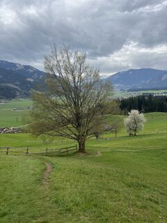 Fotografia z Stefan Rohringer na trase