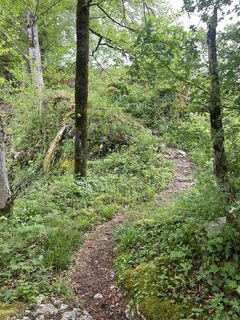 Fotografie de la Roger Jörg de-a lungul turului