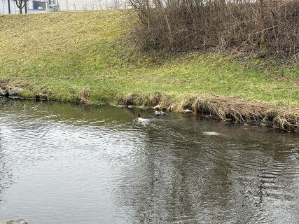 Fotó a robin Zuhn honlapról a túra során