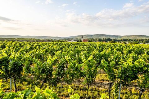 Veltliner-Runde