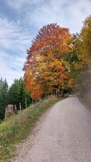 Fotografia z ZYX na trase
