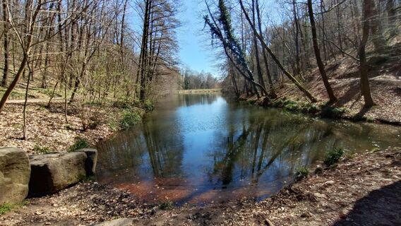 Foto de István Gábor 1 a lo largo del recorrido