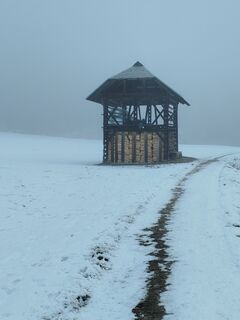 Foto de Alois Temper a lo largo del recorrido