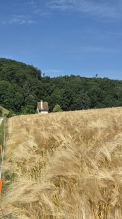Foto von Andreas Wagner 12 entlang der Tour