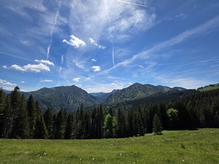 Fotografia z Verena Viktorin na trase