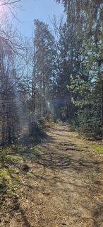 Foto von Remco Bartelds entlang der Tour