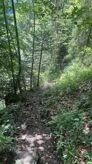 Foto von Philipp Türtscher entlang der Tour