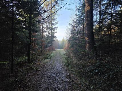 Photo de Massimo Romano 2 le long du parcours