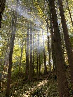 Photo de Alex_777de le long du parcours