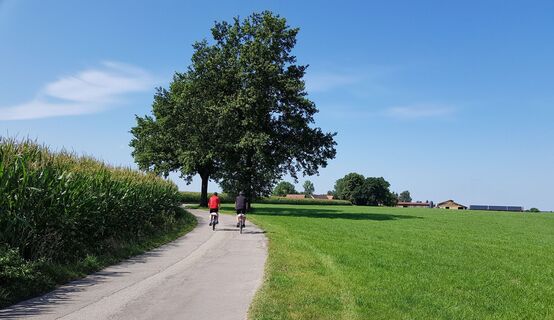Auf dem Weg nach Moosbach