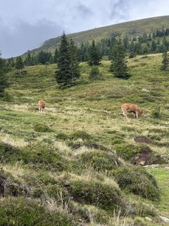 Foto von Sophie Gotthard entlang der Tour