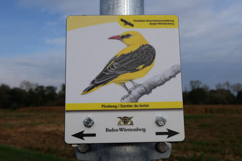 Schild Pirolweg
