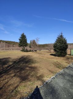 Foto van stuebi langs de tour